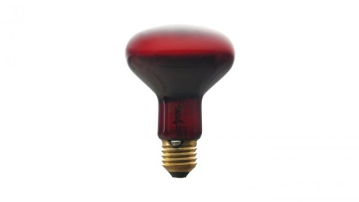 E27 infražiarič 100W 80mm R-80 pre terárium PRO-1465