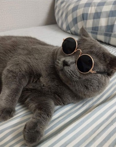 LENONKI SLNEČNÉ OKULIARE OKRUHÉ ZRKADLOVÉ PRE PSA, MAČKU, ANTI UV