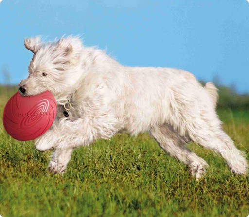 FRISBEE Lietajúci kotúč hračka PSA HĽADANIE 18 cm HADACÍ TANIER Gumová podšálka