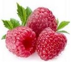 DELIZIA KLASICKÁ POCHÚŤKA PRE KONE RASPBERRY 1KG KERBL