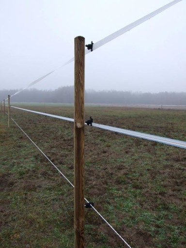 Elektrický pastiersky páskový izolátor pre kone, diviaka, 25 ks