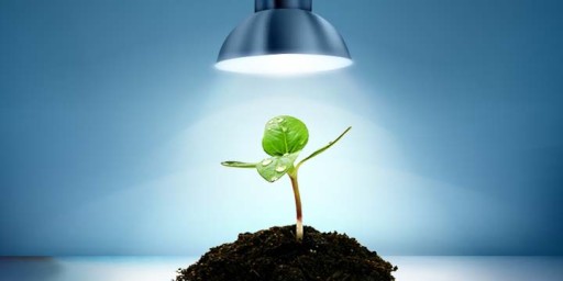 LED GROW ŽIAROVKA NA PESTOVANIE RASTLÍN 5W BIELA