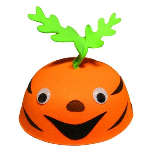 OUTFIT ČIAPKU MRKVIKA MRKVINA ZELENINA VITAMÍN