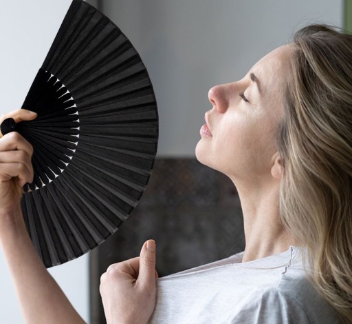 ŠPANIELSKY VENTILÁTOR ČIERNY SKLADACÍ VENTILÁTOR JAPONSKÉHO TANCE VEĽKÝ DARČEK FLAMENCO