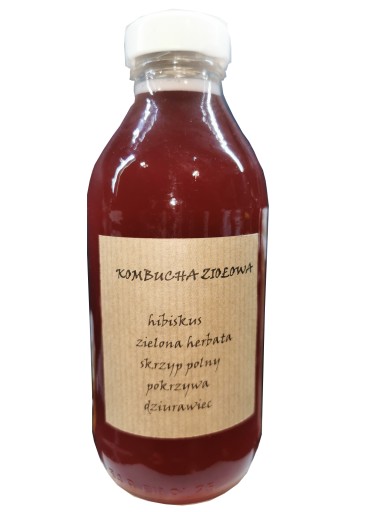 Kombucha Schisandra 330 ml