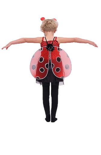 OUTFIT LIENKA KOSTÝM ŠATY KRÍDLA 2 KUSY.