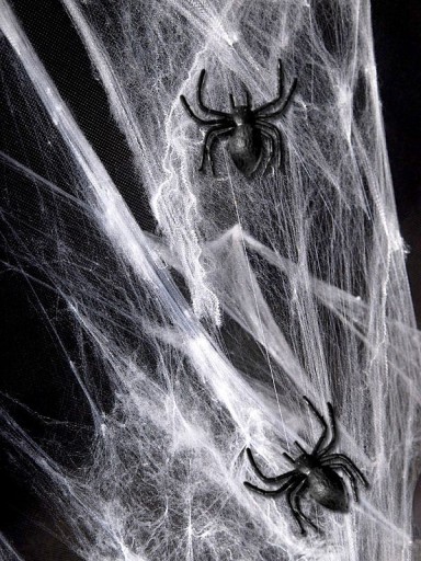 PLASTOVÉ pavúky HALLOWEEN ARACHNIDS 10 ks