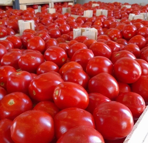 Paradajková passata Sicília Le Tre Castagne dell'Etna 350g