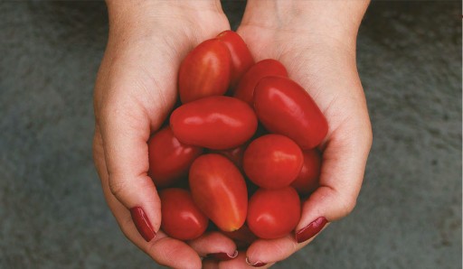 Talianske datľové paradajky Ital Dora 400g