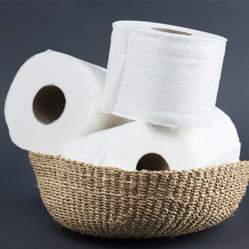 MOLA BIELY TOALETNÝ PAPIER 2 VRSTVA 8 VALCOV