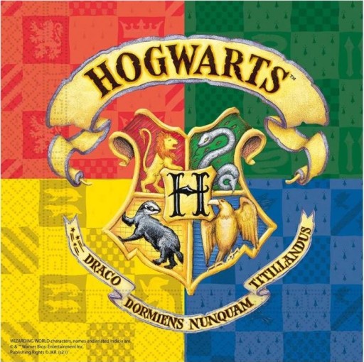 Jednorazové papierové narodeninové taniere HARRY POTTER PARTY 8 ks, 23 cm
