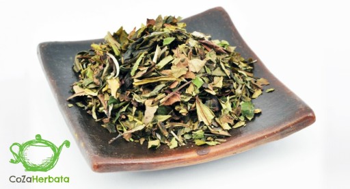 CITRÓN - PAI MU TAN Biely čaj 50g UNIKÁT