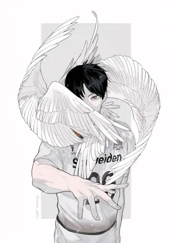 Plagát Anime Manga Haikyuu hy_066 A3