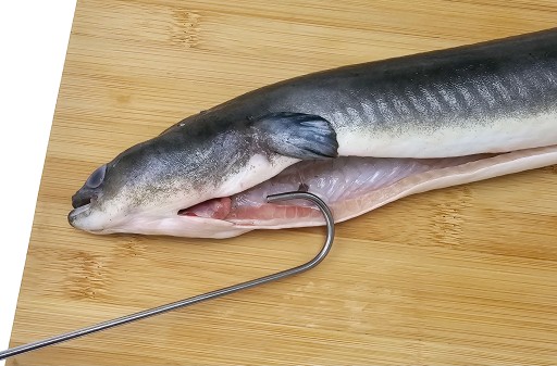 H-329 úhorový háčik na údenie dĺžka 32cm údiaci 4 čepeľ Poľský háčik