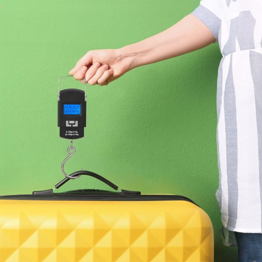 Elektronická váha na batožinu, rybárska váha s háčikom, turistická ručná váha na kufre