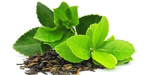 Erbel Tea Tree Wax 80 ml