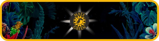 Yerba Mate Green MATETOX- 200g - despalada sin palo