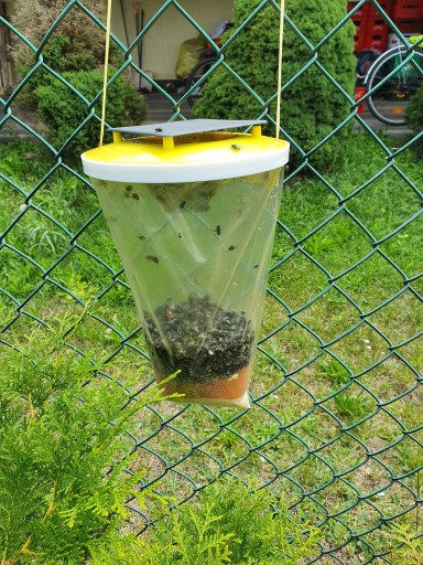 Veľká XXL návnada pre Sideon Fly Trap Fresh Bag