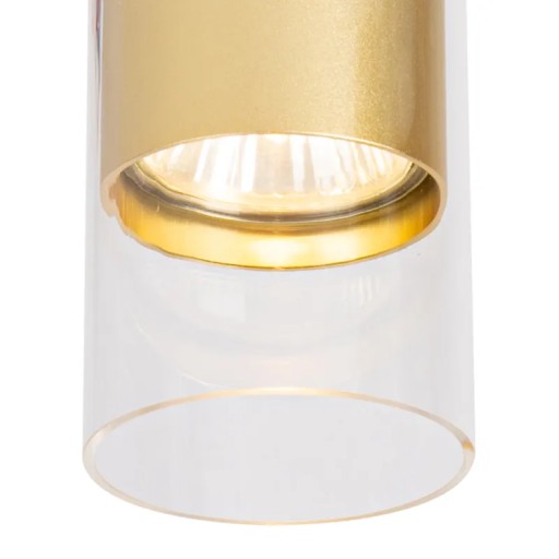 Ricky Downlight Gold 1xGU10