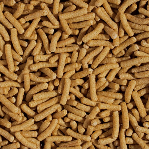TROPICAL Koi&Goldfish Pšeničné klíčky a cesnak 1L