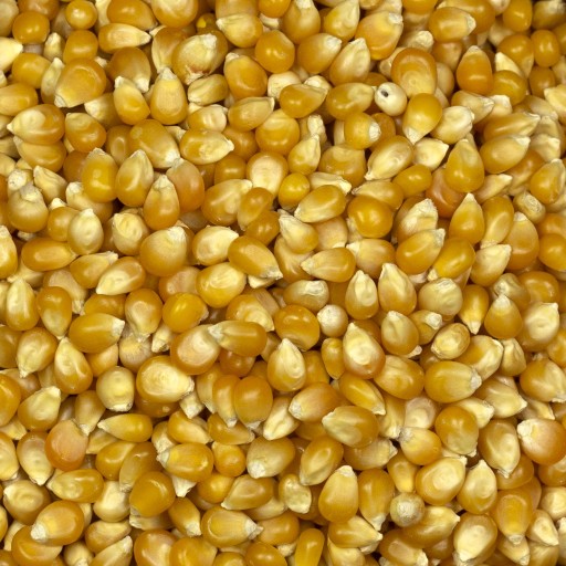 Pukance zrno 1kg KUKURICA na pukanie BEZ SOLI