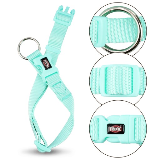 Prémiový obojok, pre psov, mint farba, L–XL: 40–65 cm/25 mm