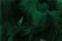 Ozdobné pierka 100 ks 15g č