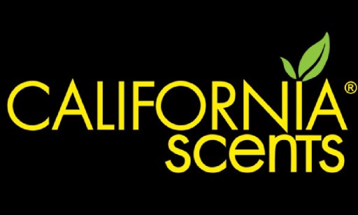 CALIFORNIA CAR Scents PÁNSKY PARFUM VÔŇA ĽADOVÁ