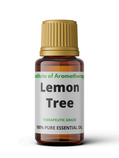 LEMON TREE olej osviežuje a dezinfikuje vzduch