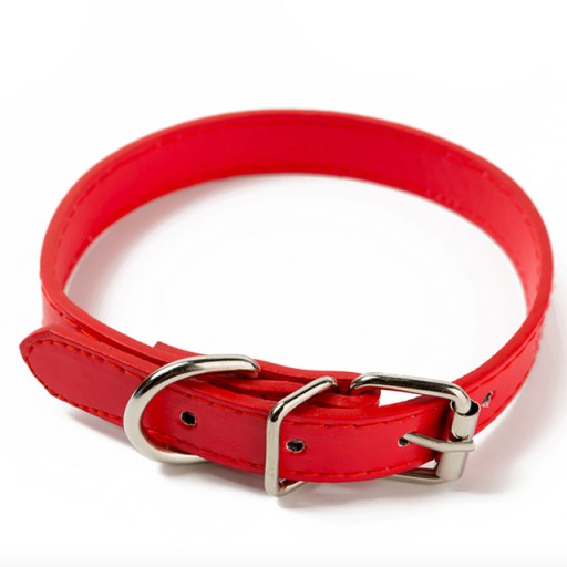 EKOKOŽENÝ GOLIER Gravírovanie číslo žiaka S 23~28cm