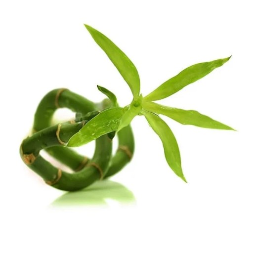 BELLA BIO BASED SANITÁRNE VLOŽKY Ultra Long eco 8 ks.