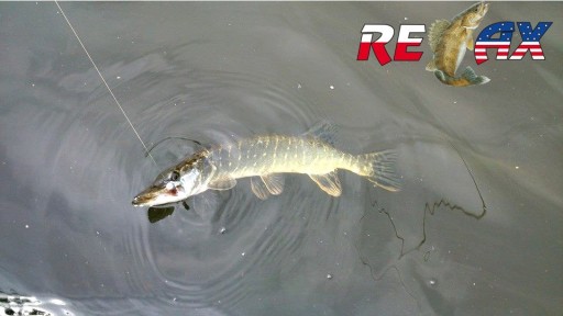 RELAX TWISTER VR 5'' GUMA PRE ŠŤUKY 9CM 1KS