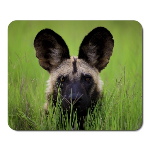 Podložka pod myš WILD ANIMALS