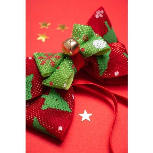 MUŠKA Muška VIANOČNÝ červený DARČEK Santa Claus