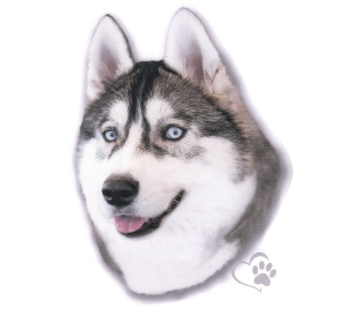 Nálepka UV Nálepka Sibírsky husky pes
