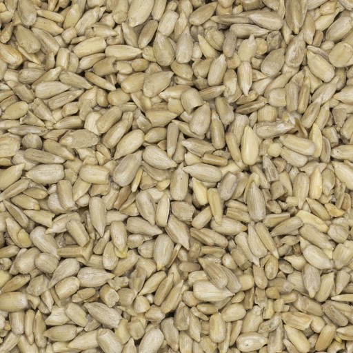 SLNEČNICA LÚPANÁ 2,5kg 100% prírodná ČERSTVÁ