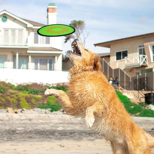 FRISBEE HRAČKA PRE PSA HRAČACÍ KRUH 25 CM MIX