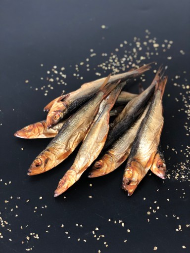 SALAKA (BALTSKÝ SLEĎ) STUDENÁ ÚDENÁ RYBA 300+/-20g k pivu