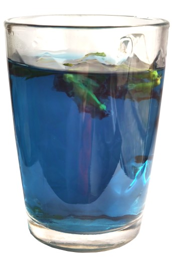 Certifikát modrého čaju Clitoria ternate