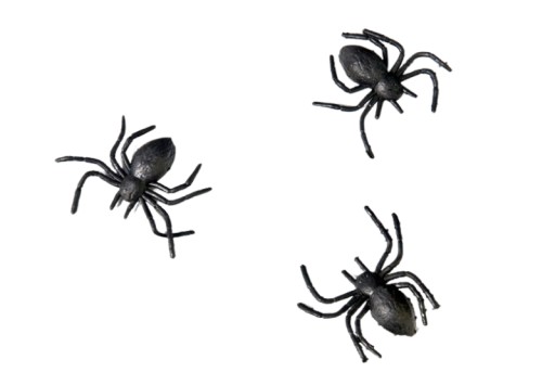 Umelé čierne plastové pavúky 10ks Halloween