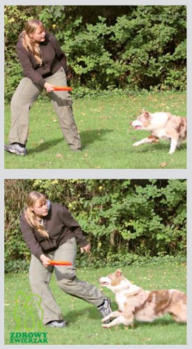 TRIXIE frisbee aportovacia hračka s mäkkým diskom pre psov 19 cm