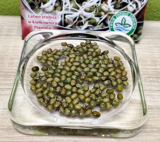 MUNG BEANS zlatá fazuľka, semienka na klíčky 40g