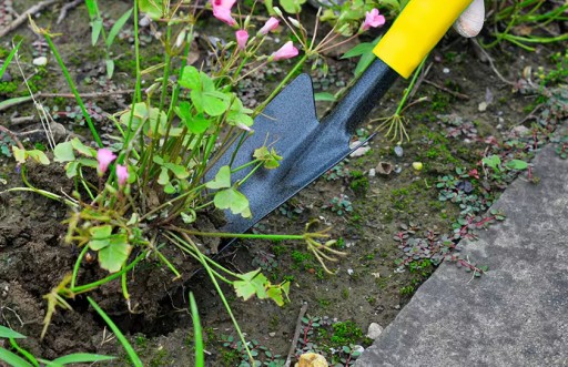Záhradná stierka úzka 5 cm záhradná na pestovanie 330 mm na sadenice
