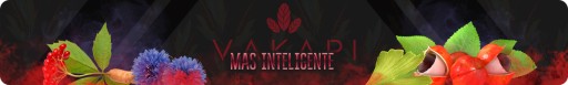 Yerba Mate Vakapi Mas Inteligente 50g elaborada