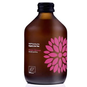 KOMBUCHA S MANGOM A MUČENOU, BEZLEPKOVÁ BIO 330 m