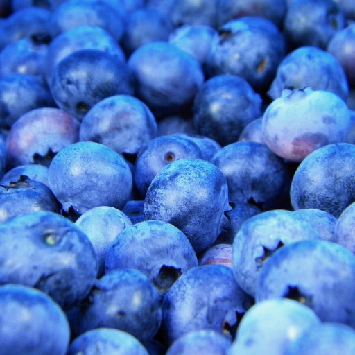 Sirup do Soda FruttaMax BLUEBERRY LIGHT karbonizátor 500 ml na 12 l