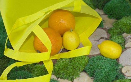 SHOPPER BAG, wigofilná nákupná taška, 36x42 ECO