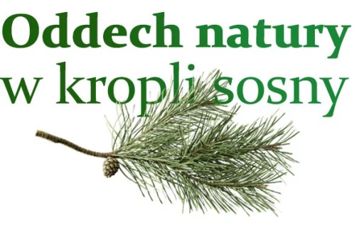 ESENCIÁLNE VONNÉ OLEJE BOROVIČKOVÉ Osvieženie - Prírodná aromaterapia 10 ml