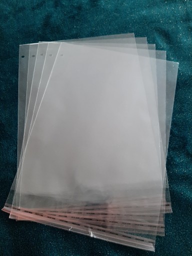 PP CELOFÁNOVÉ VRECKO S PÁSKOM 22x30+5, zatavené