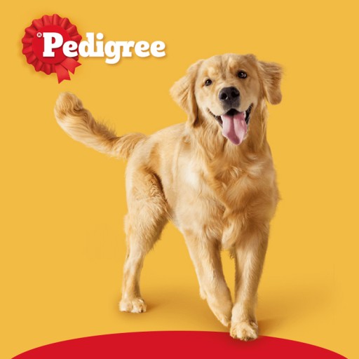 PEDIGREE RANCHOS ZÁBALOVÉ POMÔCKY PRE PSA S KURATOM 40G